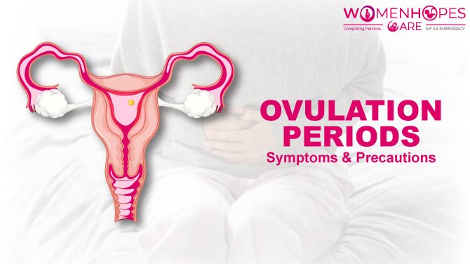 Check for your Ovulation Time with the best Ovulation Calculator