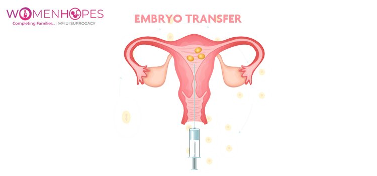 Frozen Embryo Transfer - Benefits, Success Rates, Risks and Costs