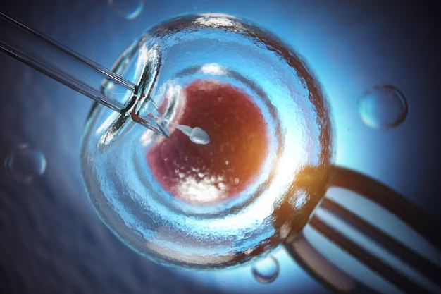 Unlocking the Miracle of Life: Navigating the Journey of In Vitro Fertilization (IVF)