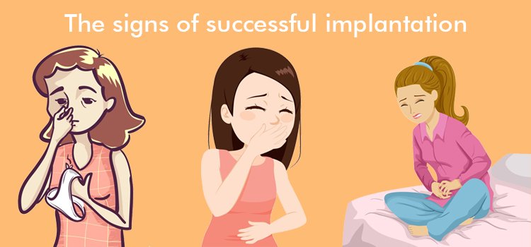 The Signs of Successful Implantation