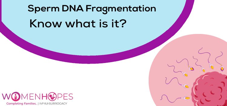 Sperm DNA Fragmentation